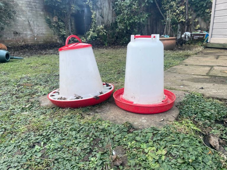 Poultry feeder and drinker 