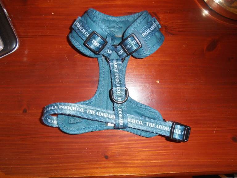 Extra Small Dog Harness & Toys