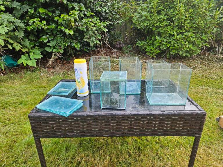 A collection of used glass aquariums