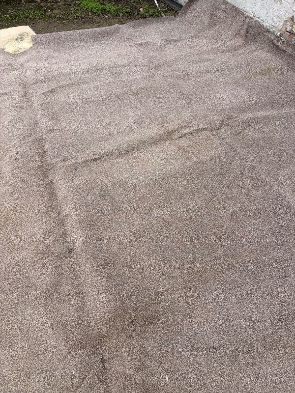 FREE CARPET 14 FT 9 IN x 12 FT