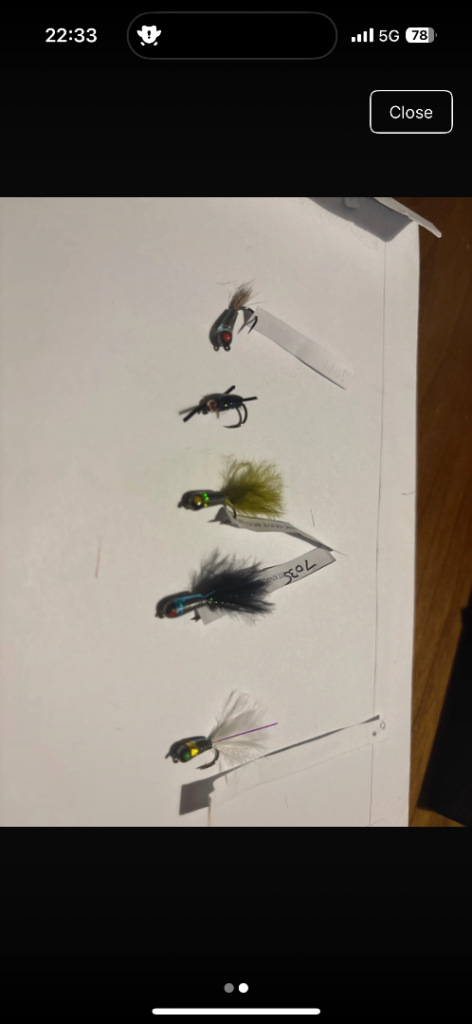 Fishing flies 