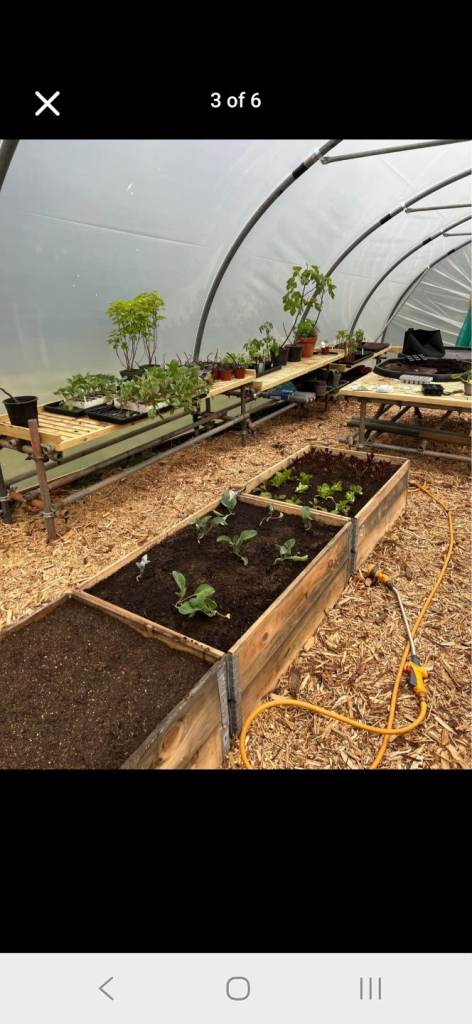 Wooden pallet collars allotment rised flower beds 