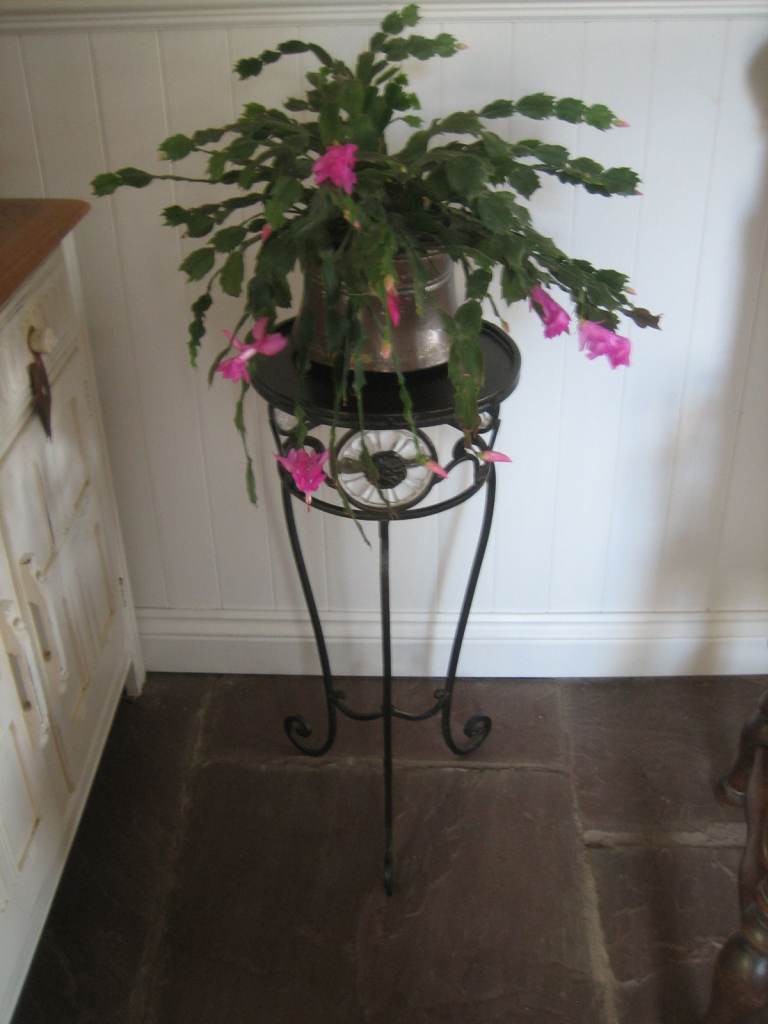 Metal plant stand/lamp table. Pretty glass detailing.