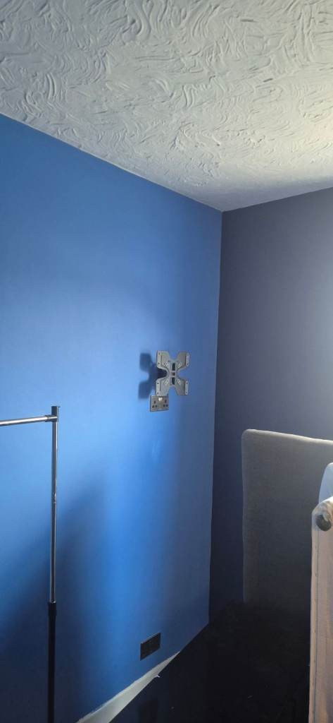 Professional Polish Painter & Decorator
