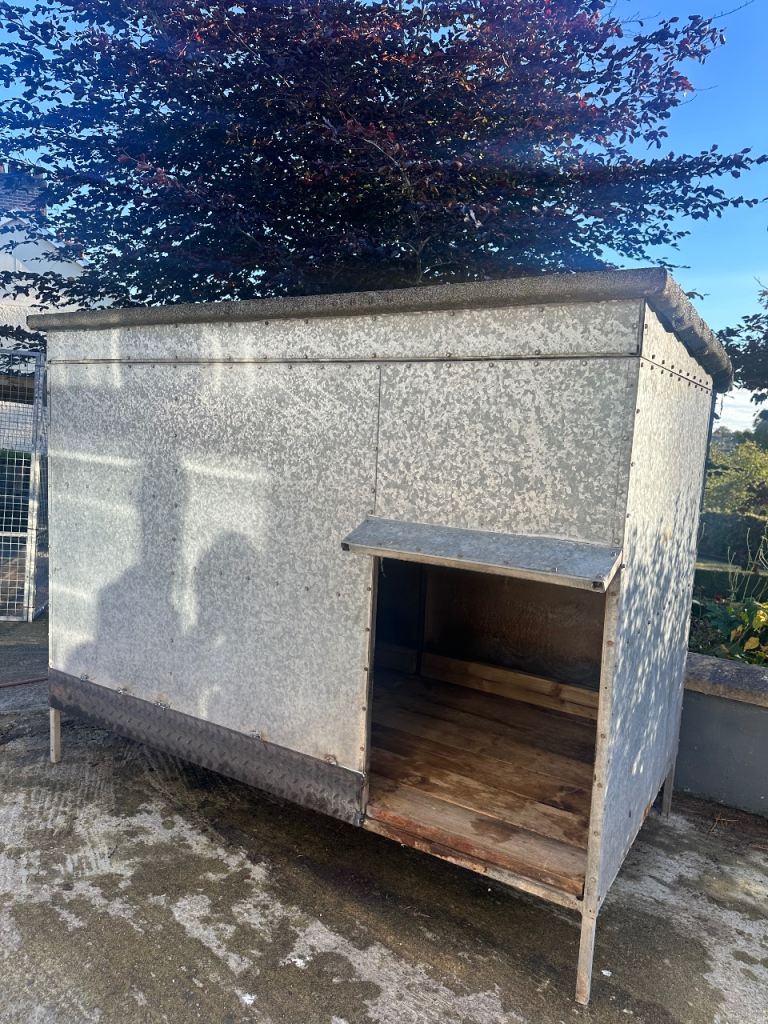Dog box 