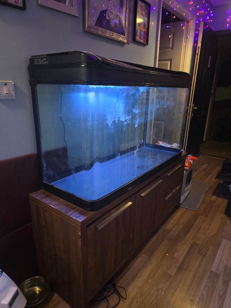 4ft fishtank - aquarium bundle