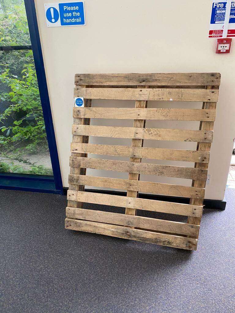 Pallet - free to collect 