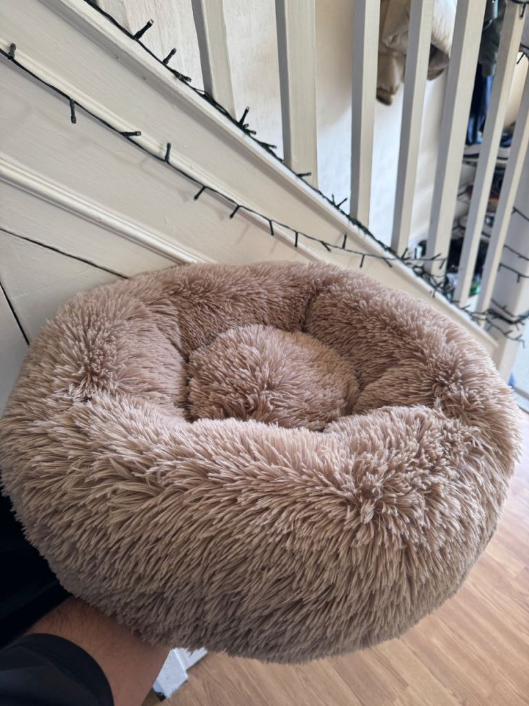 Fluffy Cat Bed - Free - Collect ASAP