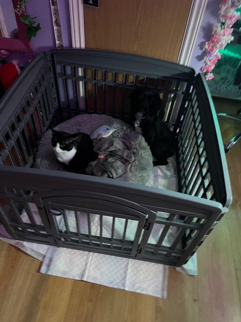 Pet playpen cage