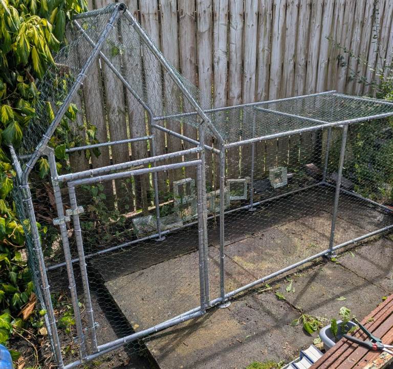 Chicken run 