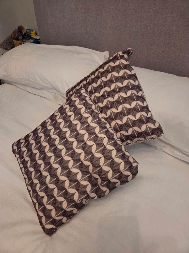 2 Cushions with covers