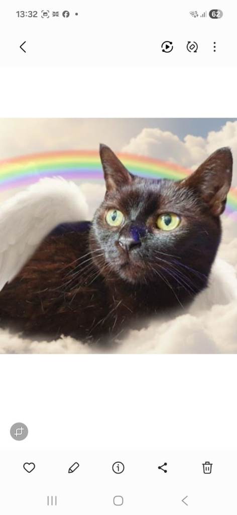 Wanted recliner chairs 