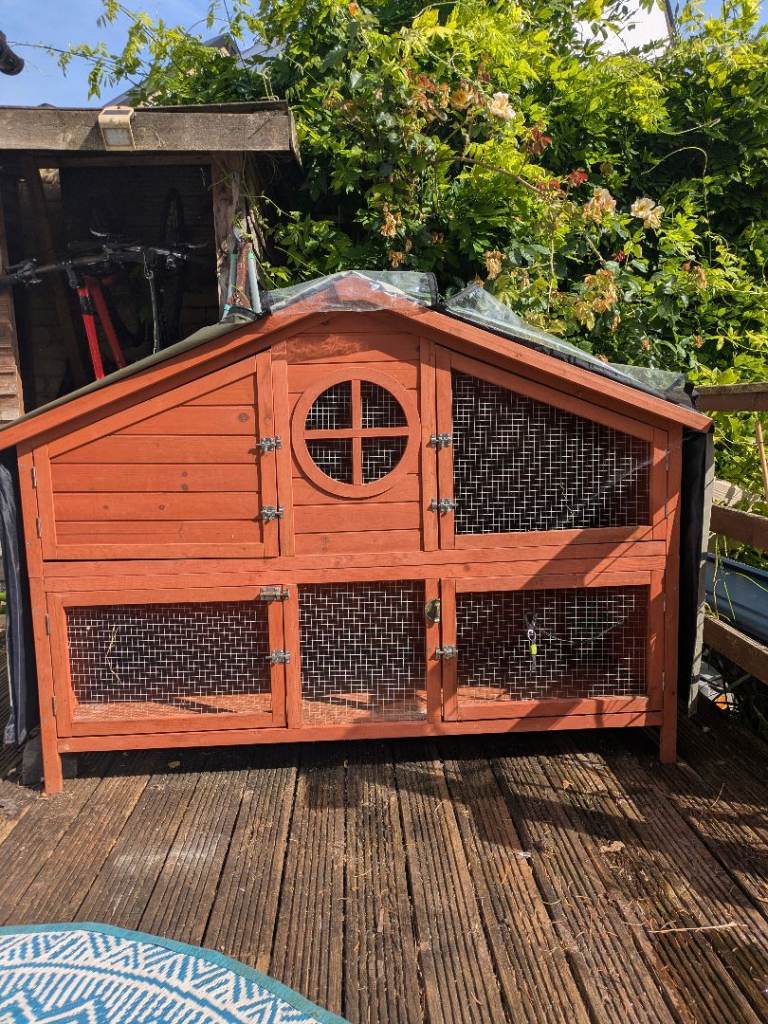 Guinea Pig/Rabbit Hutch