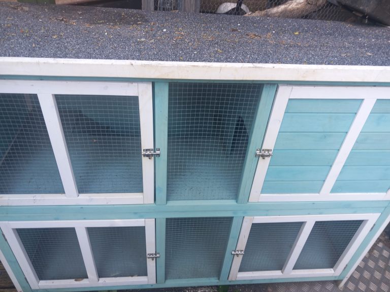 Rabbit hutch