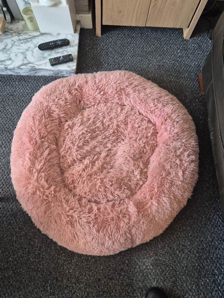 Dog Beds