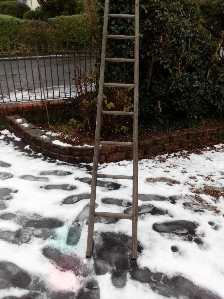 Pair of wooden ladders 