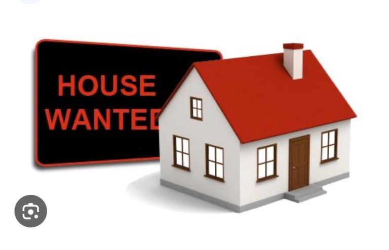 Looking for a house to rent in Belfast 