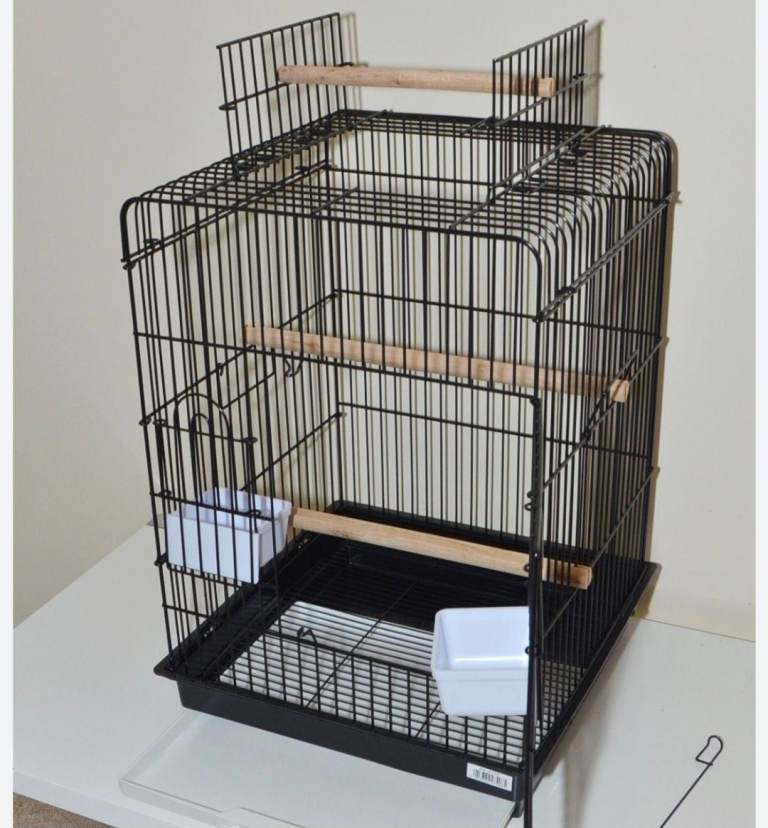 Parrot Cage
