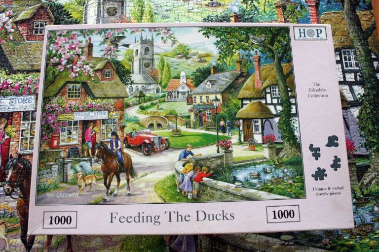 HOP 1000 piece puzzle, Feeding the  Ducks. Unique & Varied pieces. Complete.