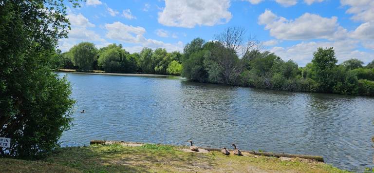 WILLERBY SALISBURY 35 x 12 Site Fees for 2026 included in price