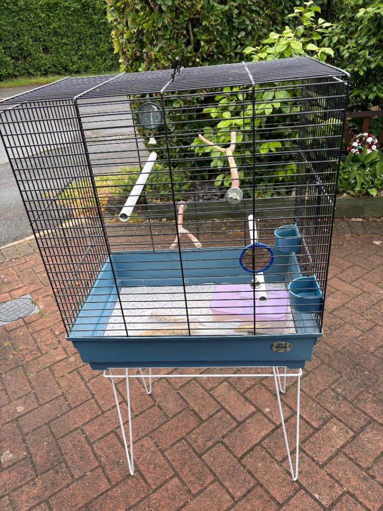 Bird Cage 