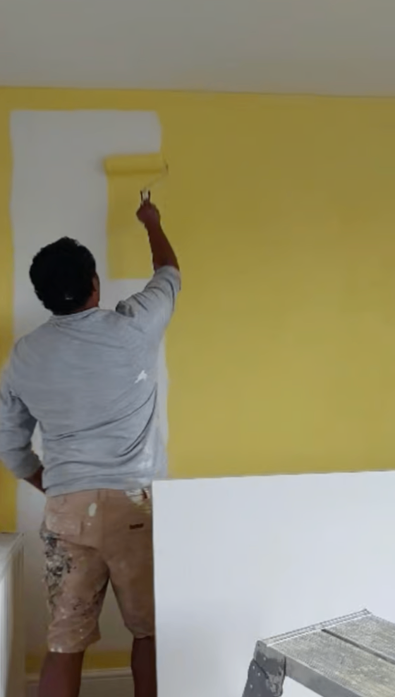 Painter, decorator, plumber and handyman.