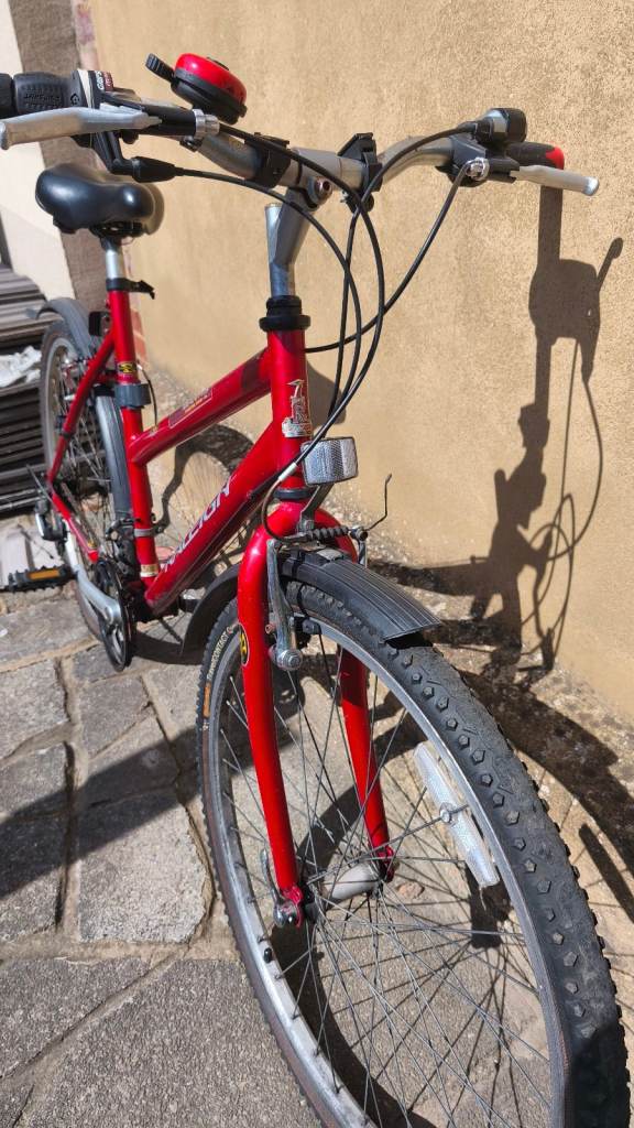 Adult Unisex Raleigh bike, working condition