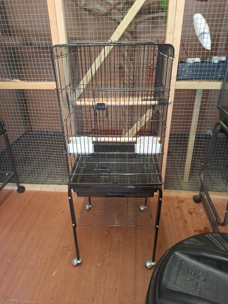 Bird cage