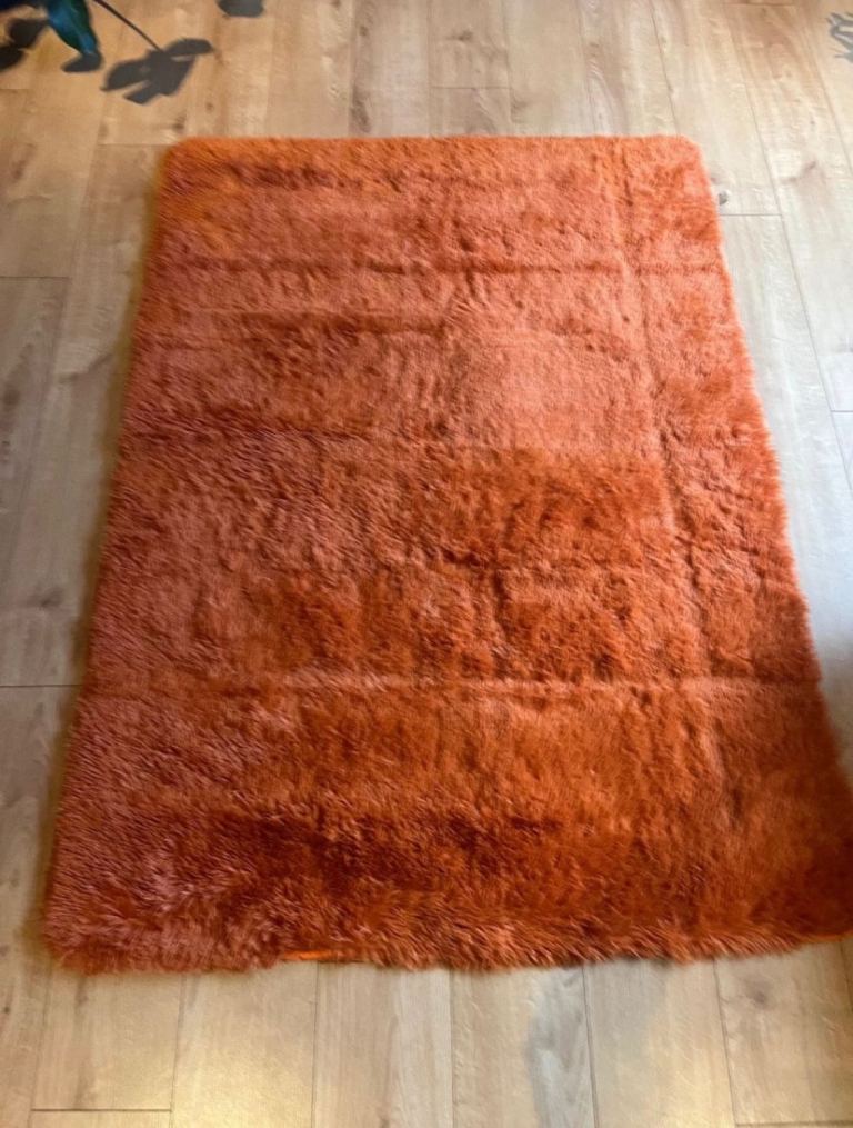 Area rug. 160 x 120cm. Super soft pile. Unused.