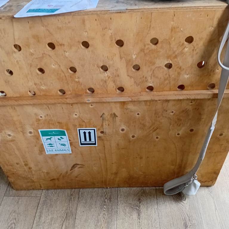 Large dog crate