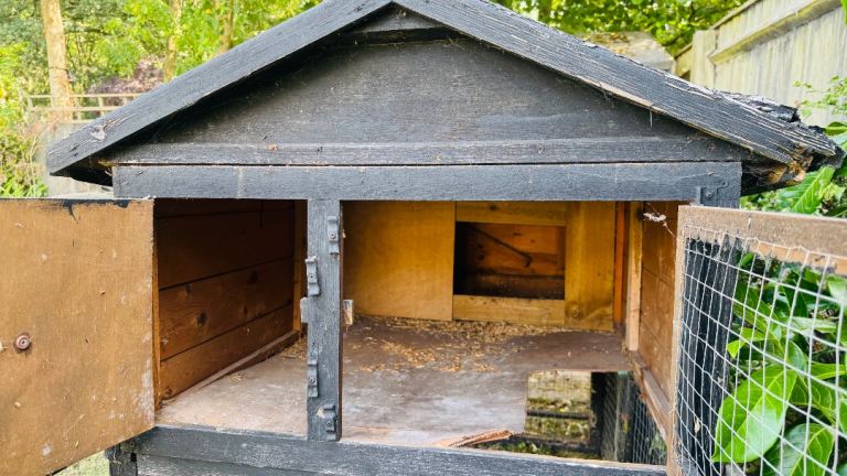 Rabbit hutch 