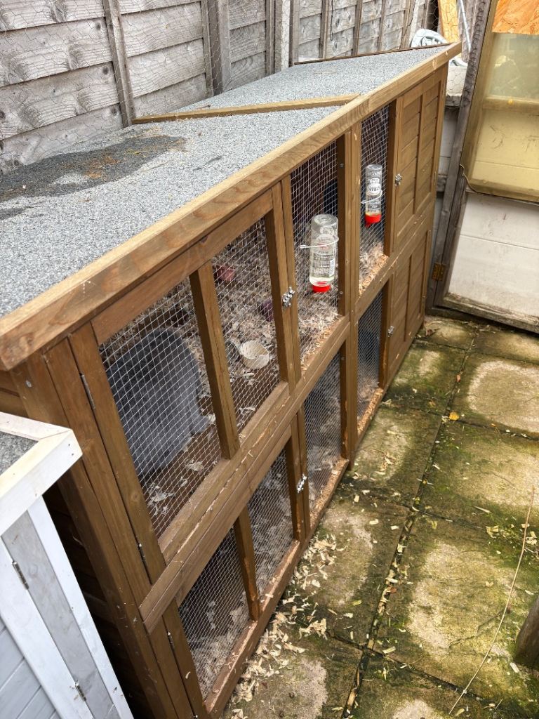 Pets at home 6ft hutch 