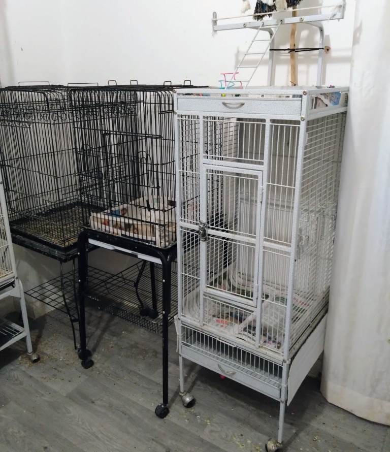 3 Bird Cages