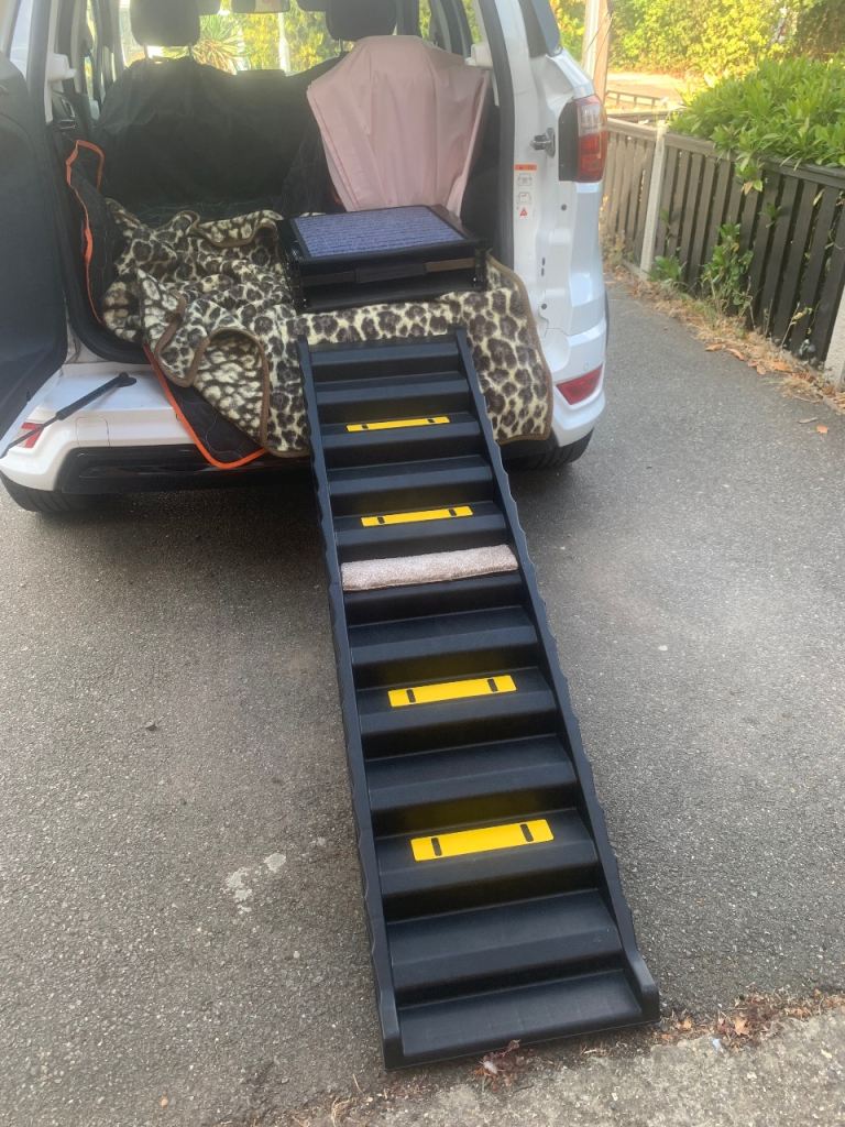 Dog stairs 