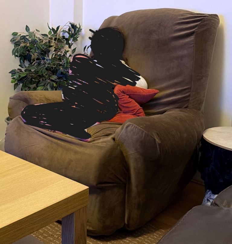 Recliner Chair with cover