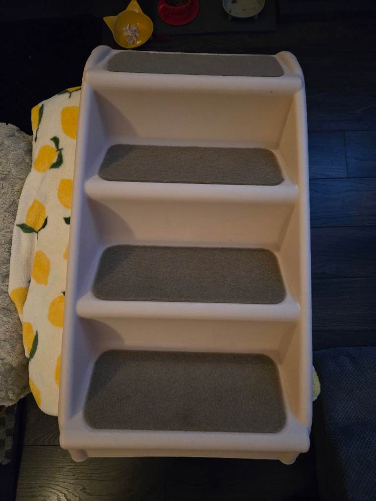 Pet steps