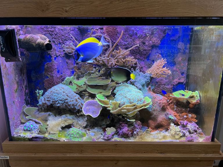 Marine 250L tank for sale