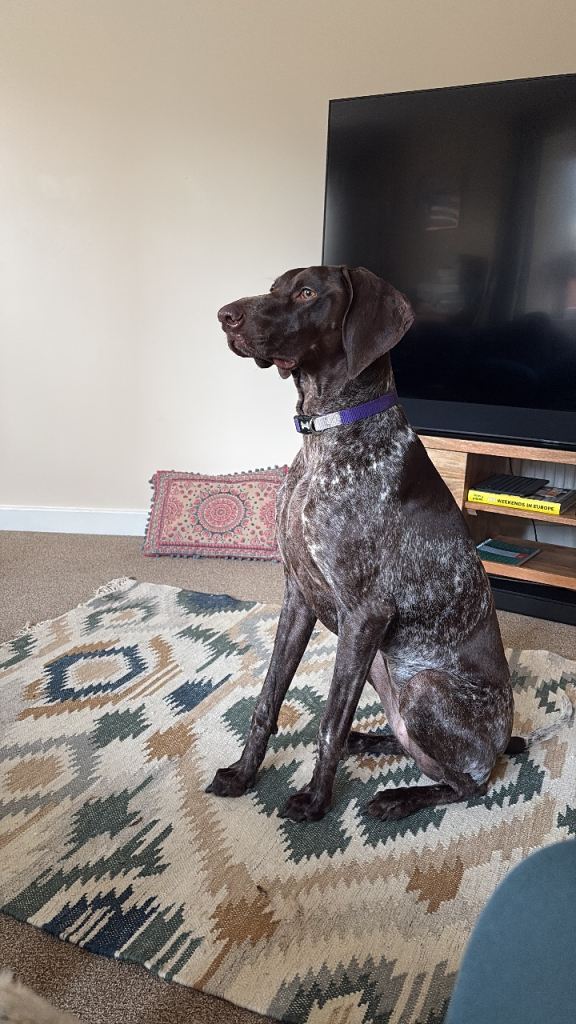 Female GSP