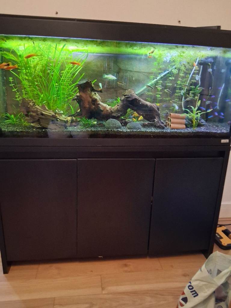 Fluval Roma 240 Aquarium and cabinet 