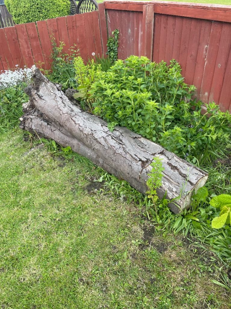 Logs