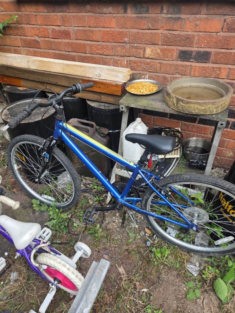 Blue Mountain Bike for Kids/Teens – Good Condition