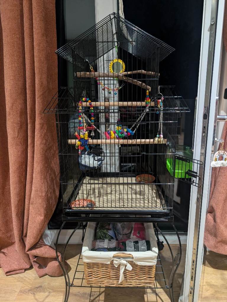 Large Black Bird Cage 