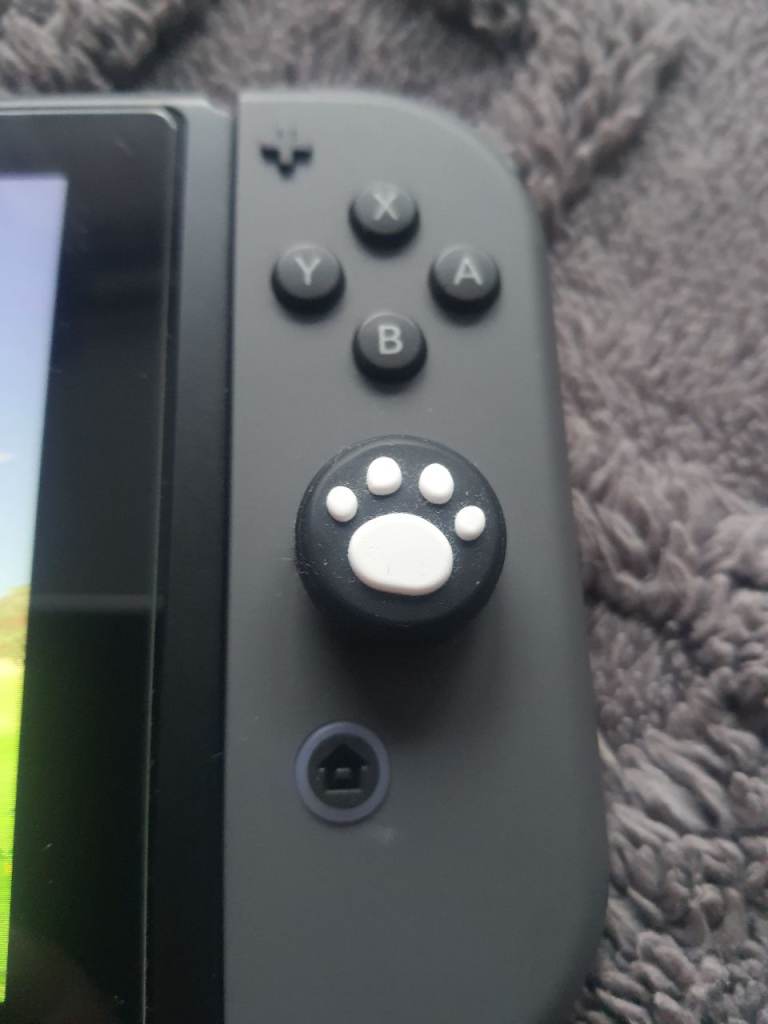 Nintendo Switch and extras