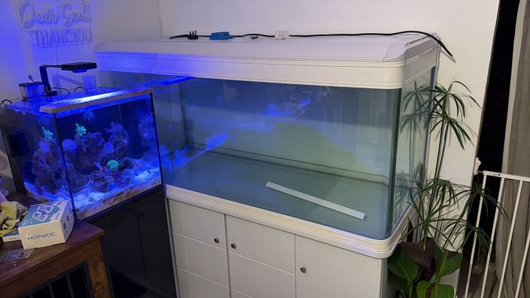 520l Fishtank 