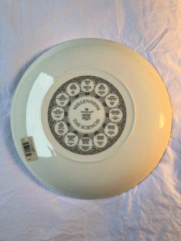 Souvenir & collectible Millennium 2001 plate The Sciences, size
