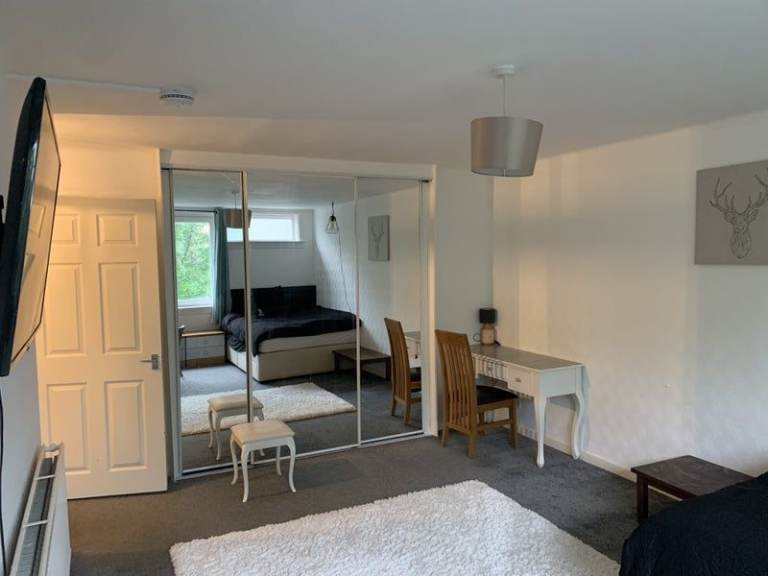 Modernly furnished room in cozy apartment!