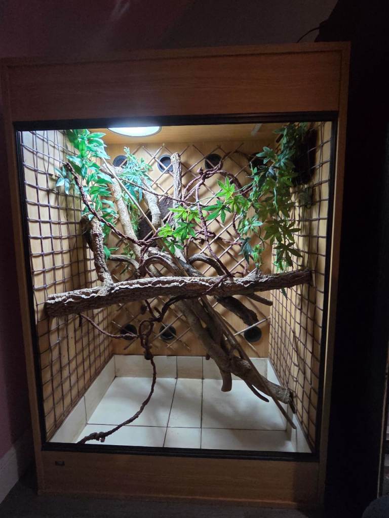Large reptile vivarium