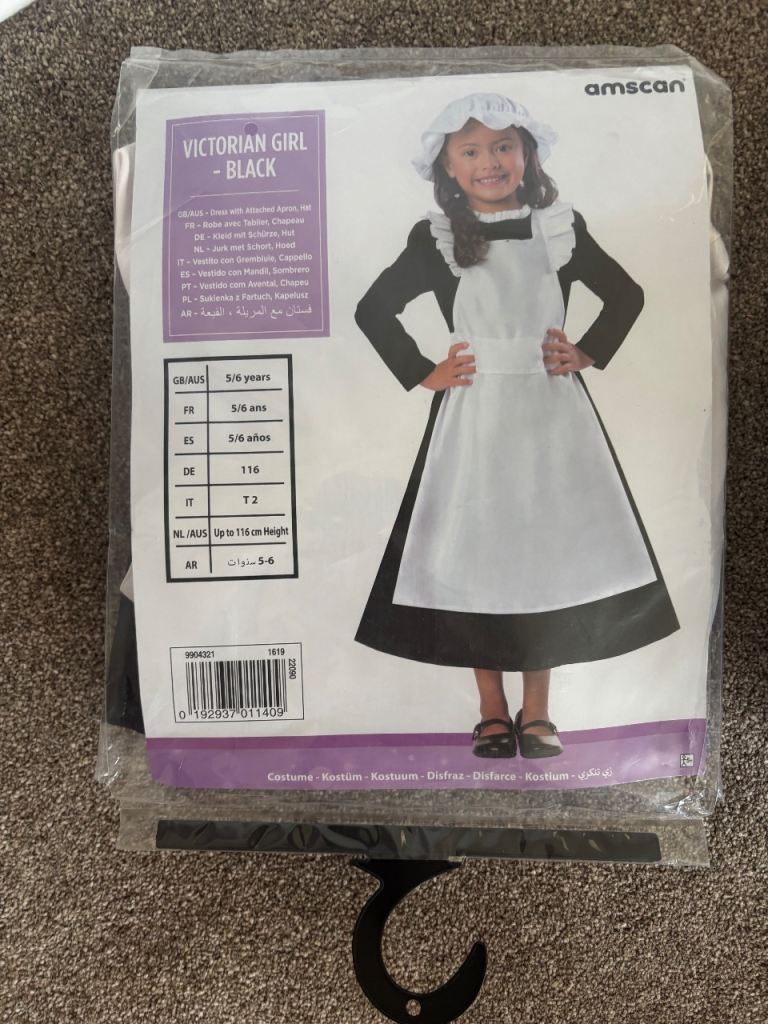 Victorian Fancy dress 