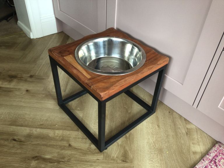 Raised Dog bowl