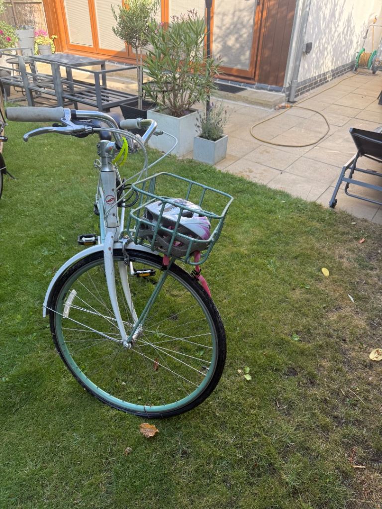  2 Giant City Bikes Brand New 